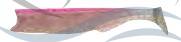 PUNSHAD 100mm 7gr CLEAR PINK 028