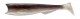 PUNSHAD 100mm 7gr NATUR 015