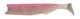 PUNSHAD 100mm 7gr CLEAR PINK 028