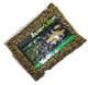 MIEZ CANEPA 500gr